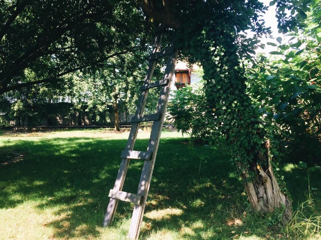 Дома для отпуска Casa Mia XIX-w Nadmorski Dom z ogrodem Cedry Małe-76
